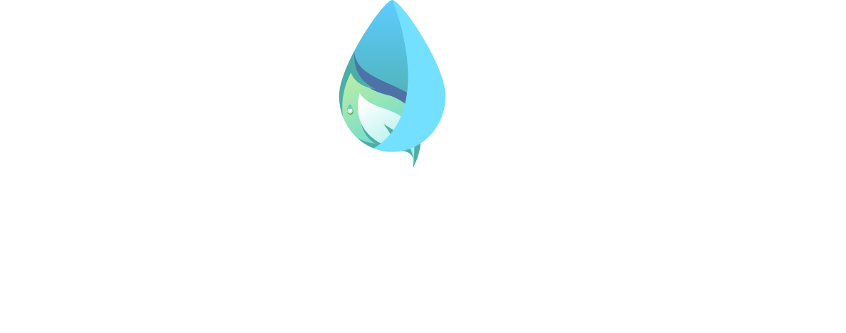 Crysa